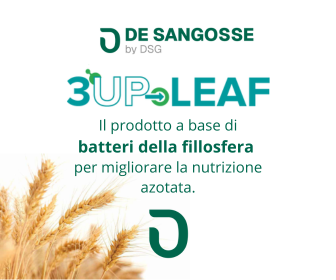 Banner De Sangosse by DSG - 3UP Leaf