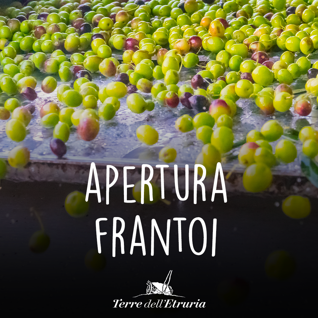Apertura dei Frantoi di Terre dell'Etruria 2025
