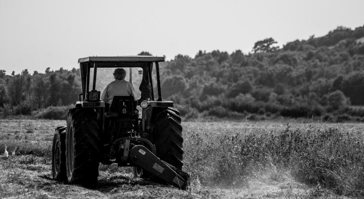Cooperazione in Agricoltura 56