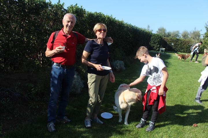 Liscio come olio 2019