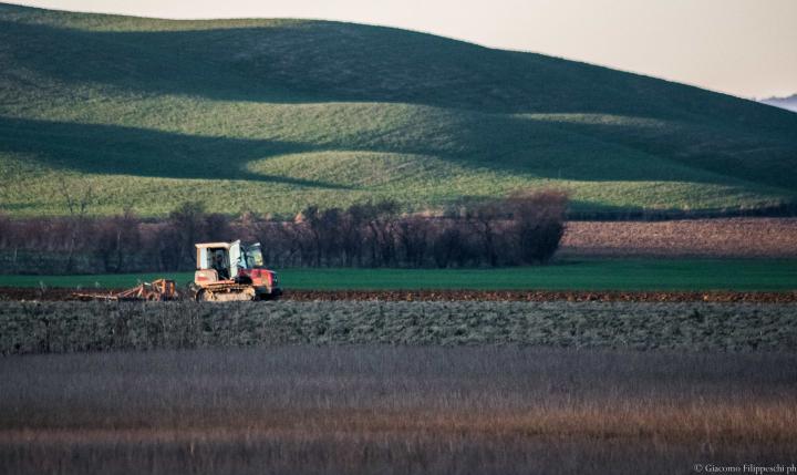 Gli scatti di Giacomo Filippeschi